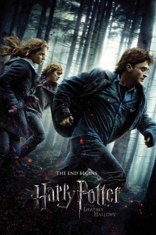 Deathly Hallows Part 1 Movie Poster