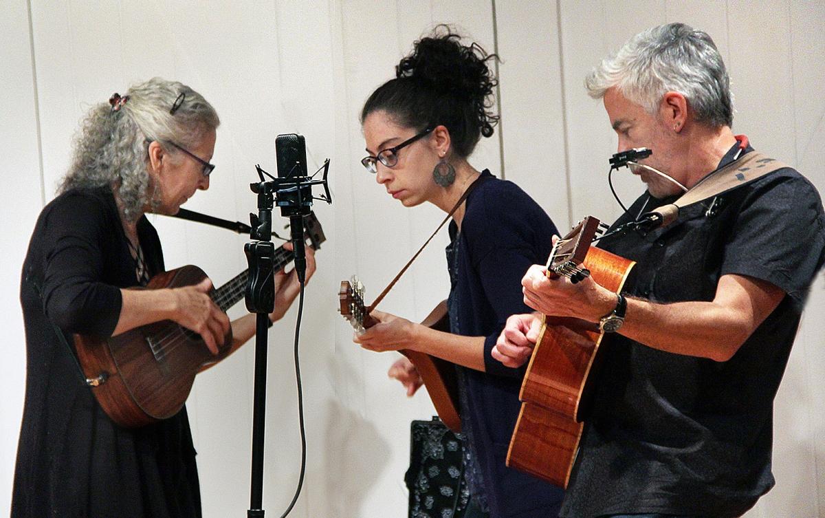 Home Grown String Band